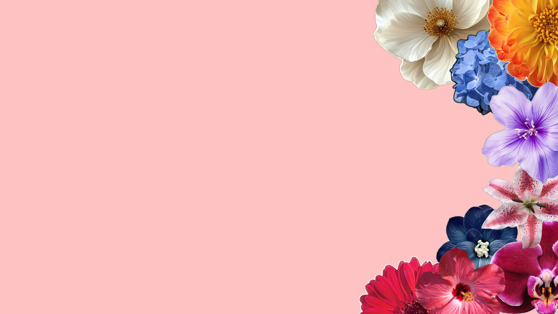 Capa do Catálogo de Flores